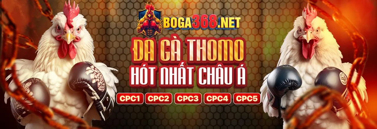 Tổng quan nền tảng Đá Gà Trường Thomo với các trò chơi đa dạng